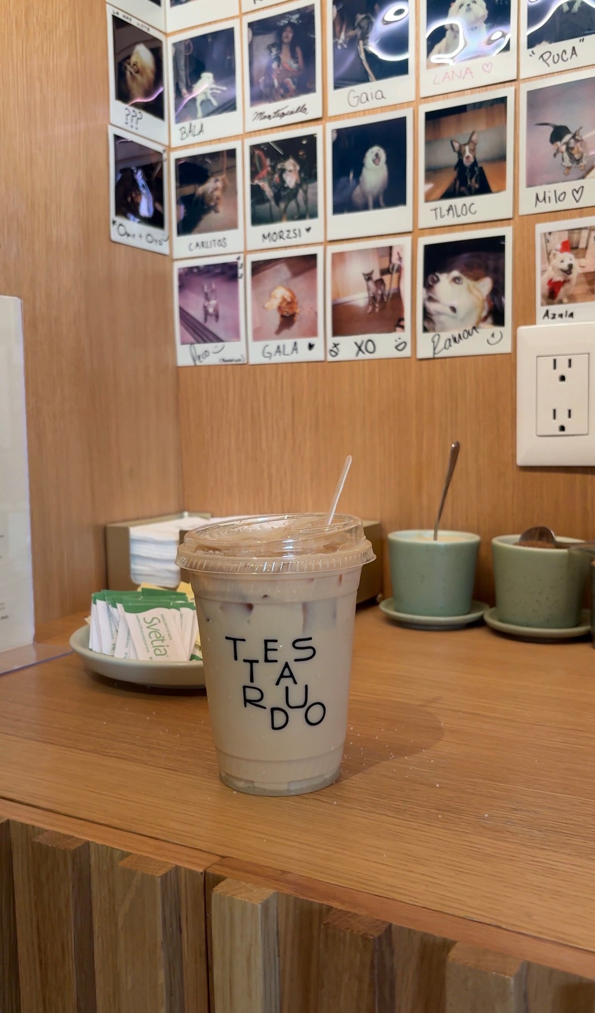 Testarudo Café